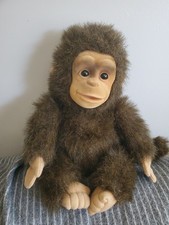 Hosung brown baby for sale  Harrisonburg