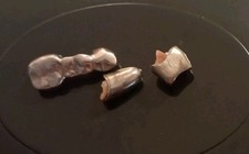 Altgold zahngold dentalschrott gebraucht kaufen  Nabburg