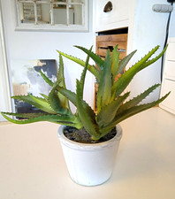 Creativ green aloe gebraucht kaufen Creativ green aloe gebraucht kaufen  Rottenburg am Neckar