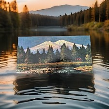 Robert wood mount for sale  Grimes