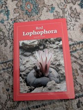 Rod lophophora rudolf usato  Spedire a Italy