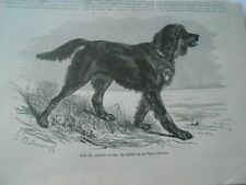 Gravure 1879 dan d'occasion  La Verpillière