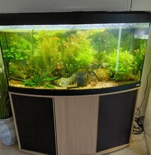 Aquarium fluval 260l gebraucht kaufen  Allenbach, Herborn, Sien