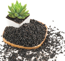 2.4lb black lava for sale  Denver
