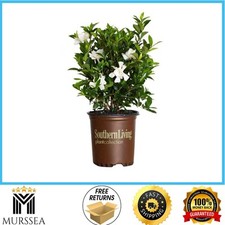 2.5 qt. jubilation for sale  Ripplemead
