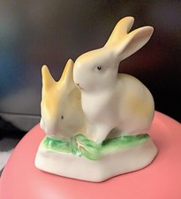 Hollohaza hungary rabbit for sale  Plymouth