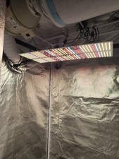 Growzelt led lampe gebraucht kaufen  Leipzig