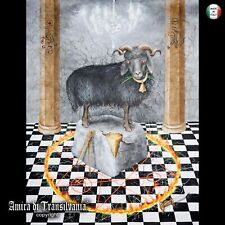 Arte contemporanea natura usato  Milano