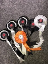 Greyhound racing winners for sale  ATHERSTONE