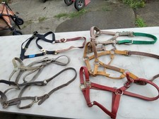 Used nylon halters for sale  Taylor