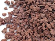 Premium aquarium fish for sale  HOLYWELL