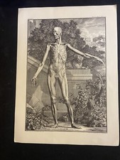 Antique anatomical poster for sale  Los Angeles