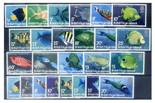 Maldive. fauna. pesce usato  Milano