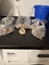 Günstige diamanten gebraucht kaufen  Erkrath