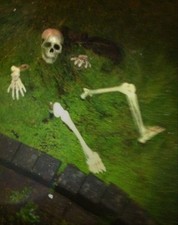 Halloween skeleton bones for sale  OLDHAM