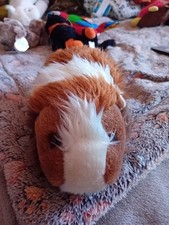 Ark toys guinea for sale  BOLTON