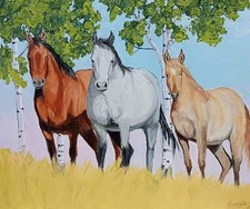 Three kind 20x24 for sale  Miles City