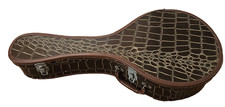 Vintage unknown mandolin for sale  Hazard