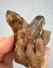 Citrine cathédrale congo d'occasion  Sommières
