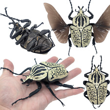 Boneco Bandai Japan Gashapon Goliathus Orientalis 7 polegadas grande besouro realista comprar usado  Enviando para Brazil