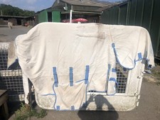 6ft3 sweet itch for sale  FAREHAM