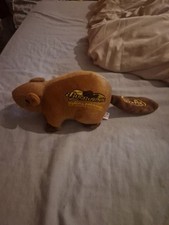 Poland beaver soft for sale  SUTTON-IN-ASHFIELD