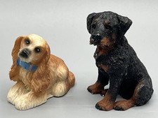 English cocker spaniel for sale  Phoenix