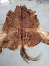 Authentic real tanned for sale  Bonduel