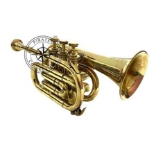 Embouchure corne bugle d'occasion  Expédié en France