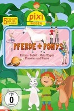 Pixie wissen pferde gebraucht kaufen  Berlin