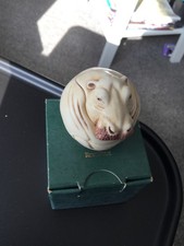 hippo money box for sale  THORNTON-CLEVELEYS