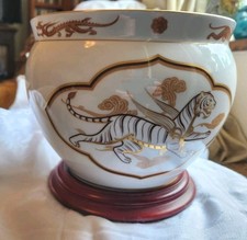 White gold tiger for sale  BROSELEY