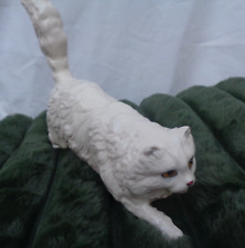 Large persian cat for sale  BURNLEY