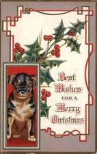 Cartão postal de Natal cachorro Rottweiler filhote azevinho dourado em relevo c1900s-20s comprar usado Cartão postal de Natal cachorro Rottweiler filhote azevinho dourado em relevo c1900s-20s comprar usado  Enviando para Brazil