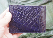 Real crocodile money for sale  USA
