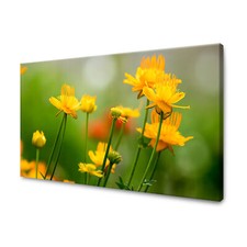 Canvas leinwandbilder xxl gebraucht kaufen  Großröhrsdorf