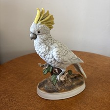 Josef originals cockatiel for sale  HUNSTANTON