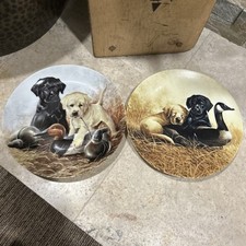 Lynn kaatz ducking for sale  Cleveland