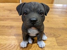 Vivid arts pet for sale  BRISTOL