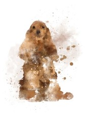 Cocker spaniel art for sale  WALSALL