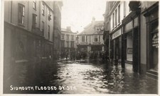 Early postcard 1920s for sale  TOTNES