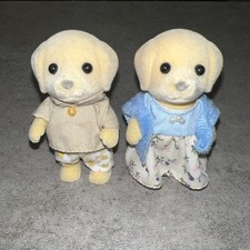 labrador male for sale labrador male for sale Riverside