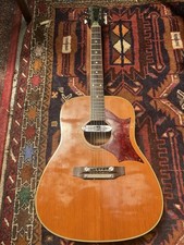 Hoyer acoustic electro for sale  SALTASH