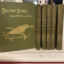 British birds nests for sale  BASINGSTOKE