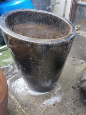 Large ceramic plant for sale  BURY