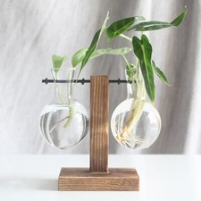 Glass hydroponic vases for sale  ABERDEEN