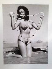 Andre dienes fine gebraucht kaufen  Hamburg