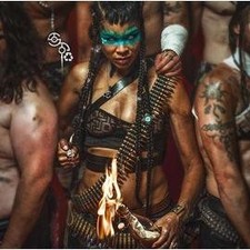 Vinyle shaka ponk d'occasion  Les Mureaux