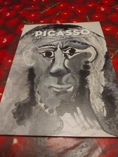Picasso sue passioni usato  Colli Verdi