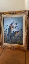 Pair macaws parrots for sale  Mesa